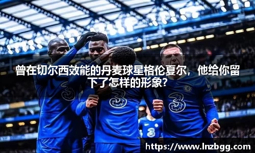 曾在切尔西效能的丹麦球星格伦夏尔，他给你留下了怎样的形象？